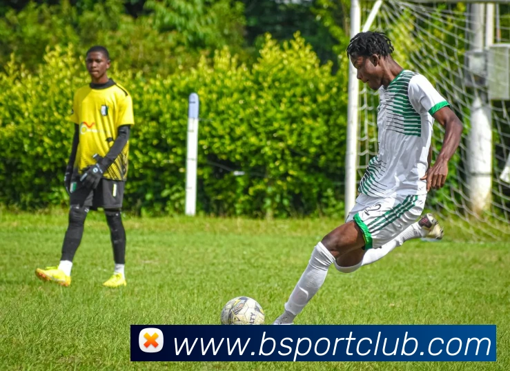 bsport平台生态图